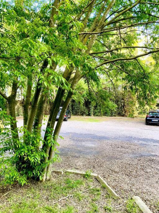 Apartament Le Havre De Paix Montpellierain - Terrasse Et Parking Prive Zewnętrze zdjęcie