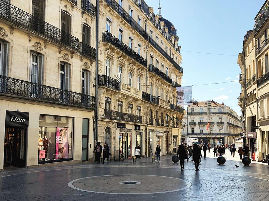 Apartament Le Havre De Paix Montpellierain - Terrasse Et Parking Prive Zewnętrze zdjęcie