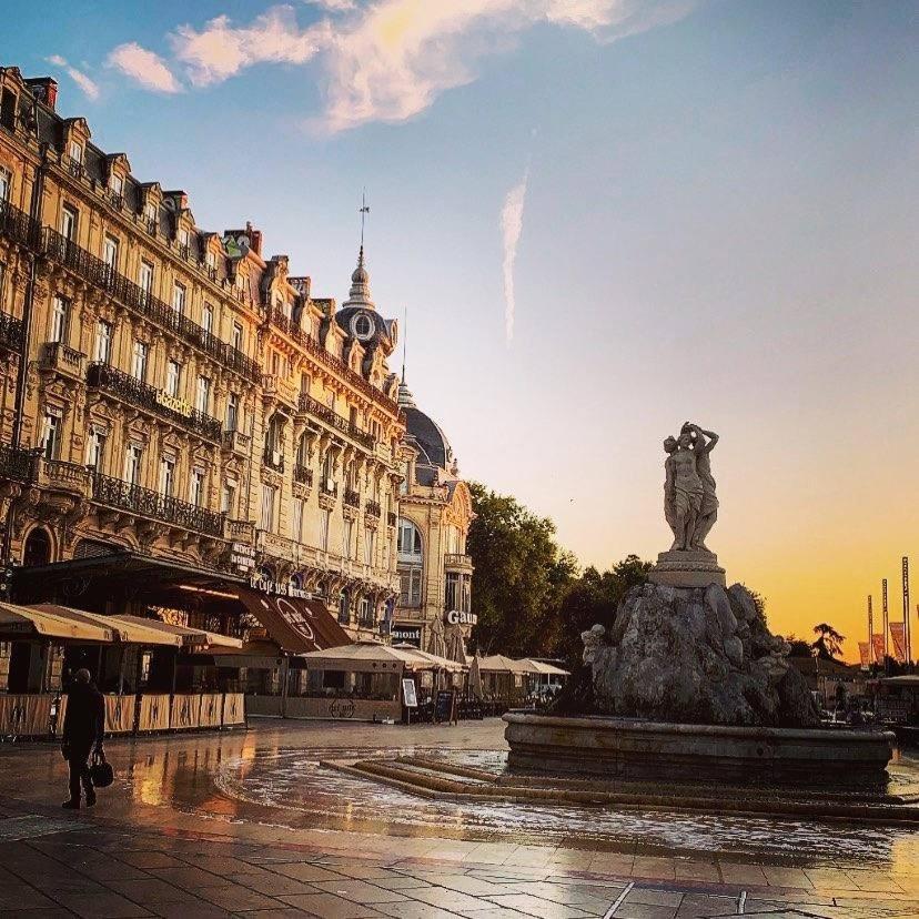 Apartament Le Havre De Paix Montpellierain - Terrasse Et Parking Prive Zewnętrze zdjęcie