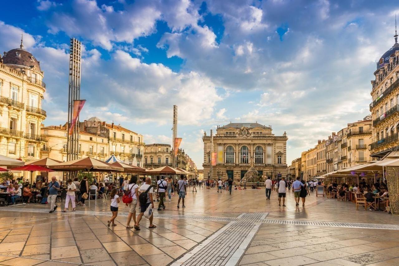 Apartament Le Havre De Paix Montpellierain - Terrasse Et Parking Prive Zewnętrze zdjęcie